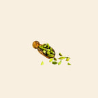 Purity Prayag Cardamom Green