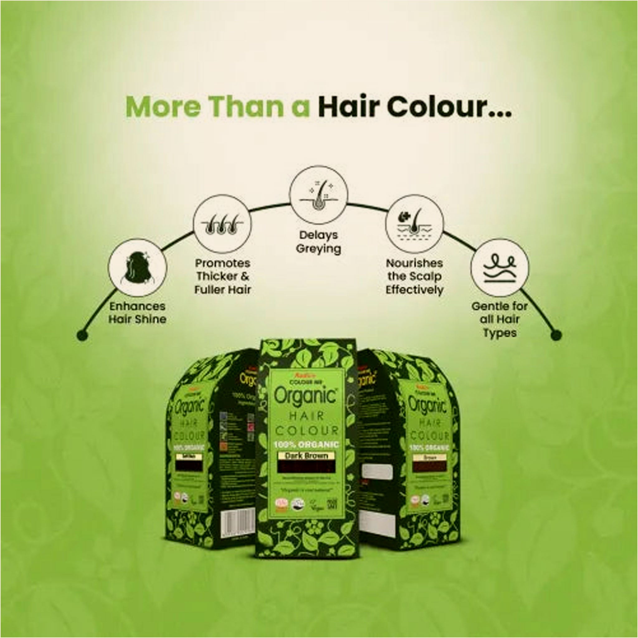 Radico 100 Natural Hair Color Soft Black 100 G