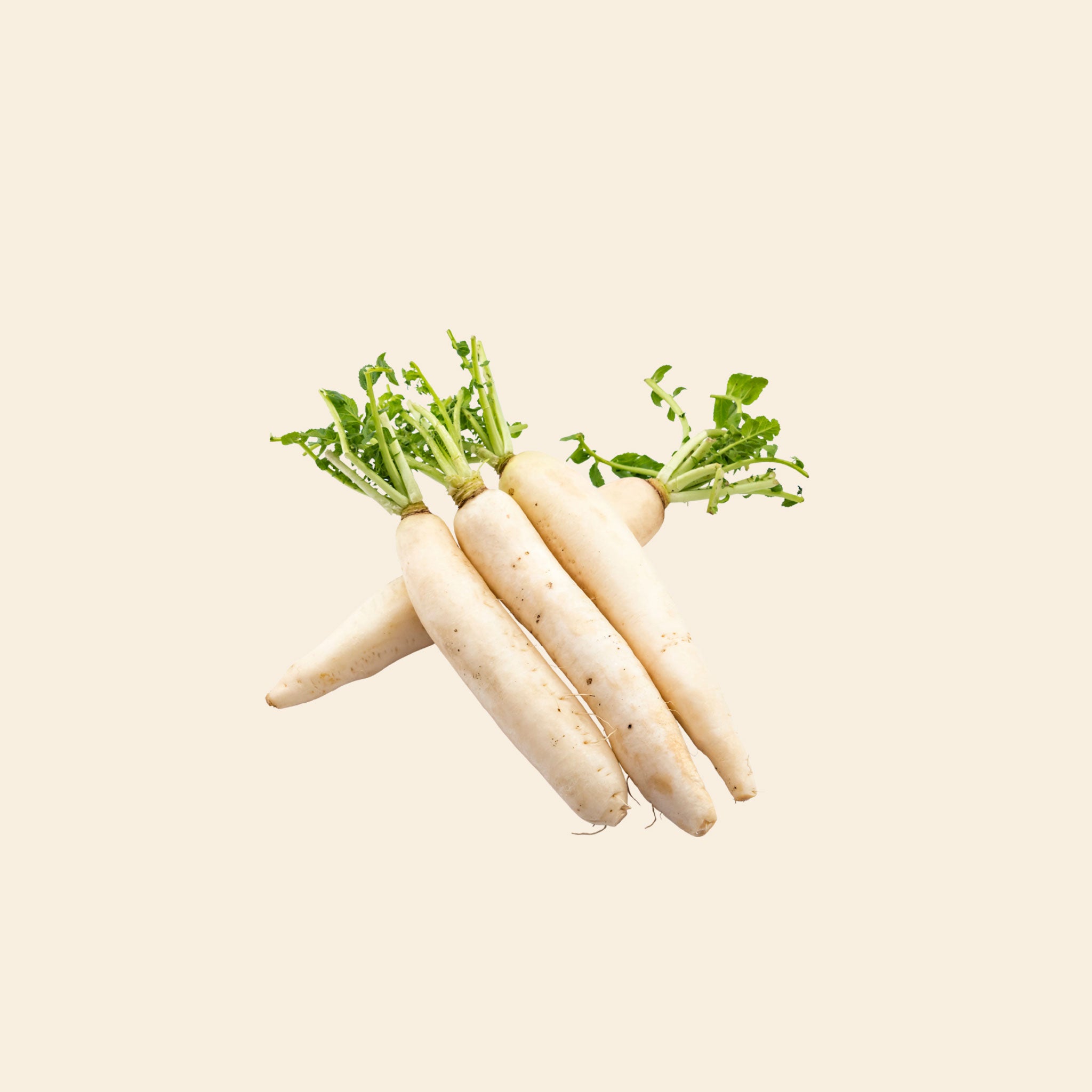 Radish