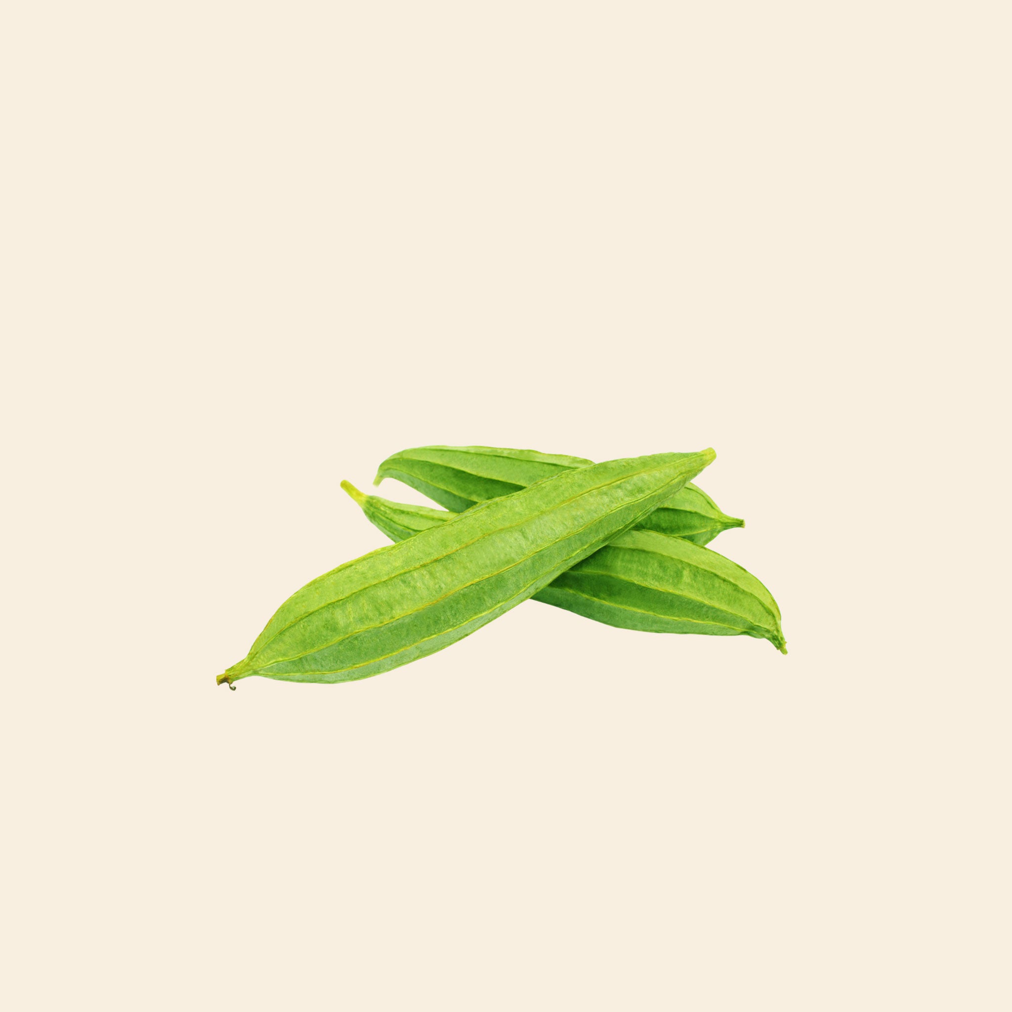 Ridge Gourd