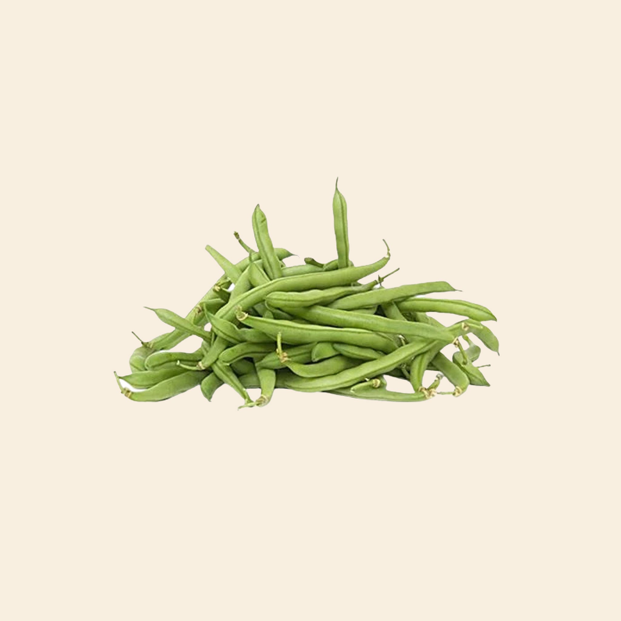 Ring Beans