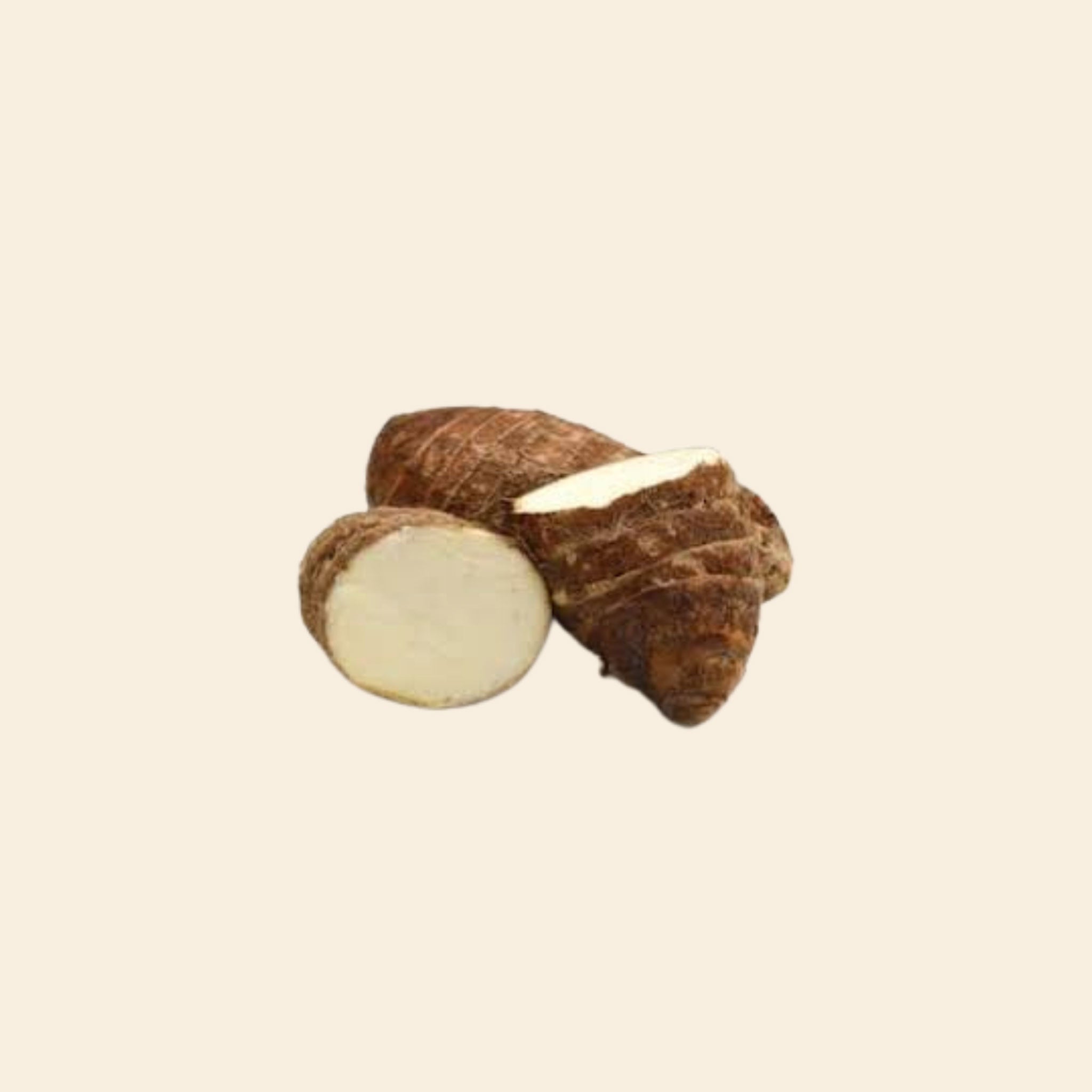 Sam Root