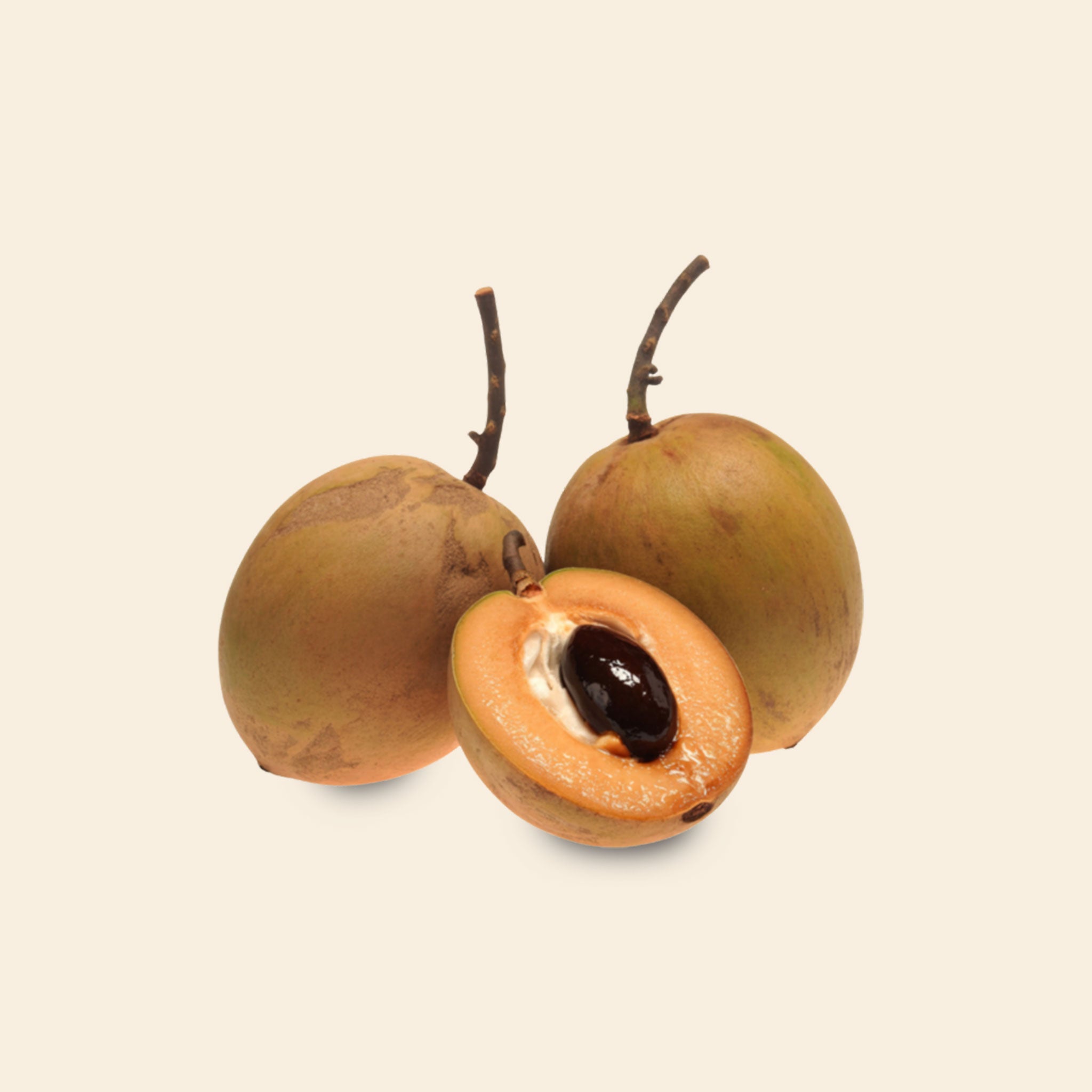 Sapota Cricket Ball