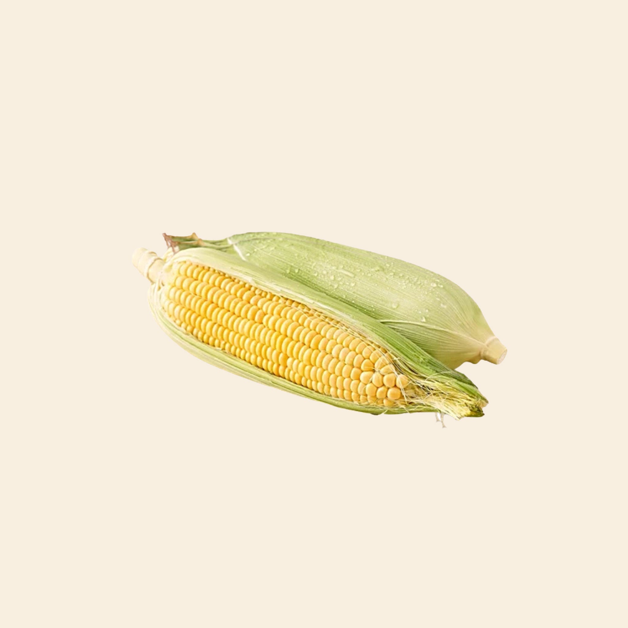 Sweet Corn