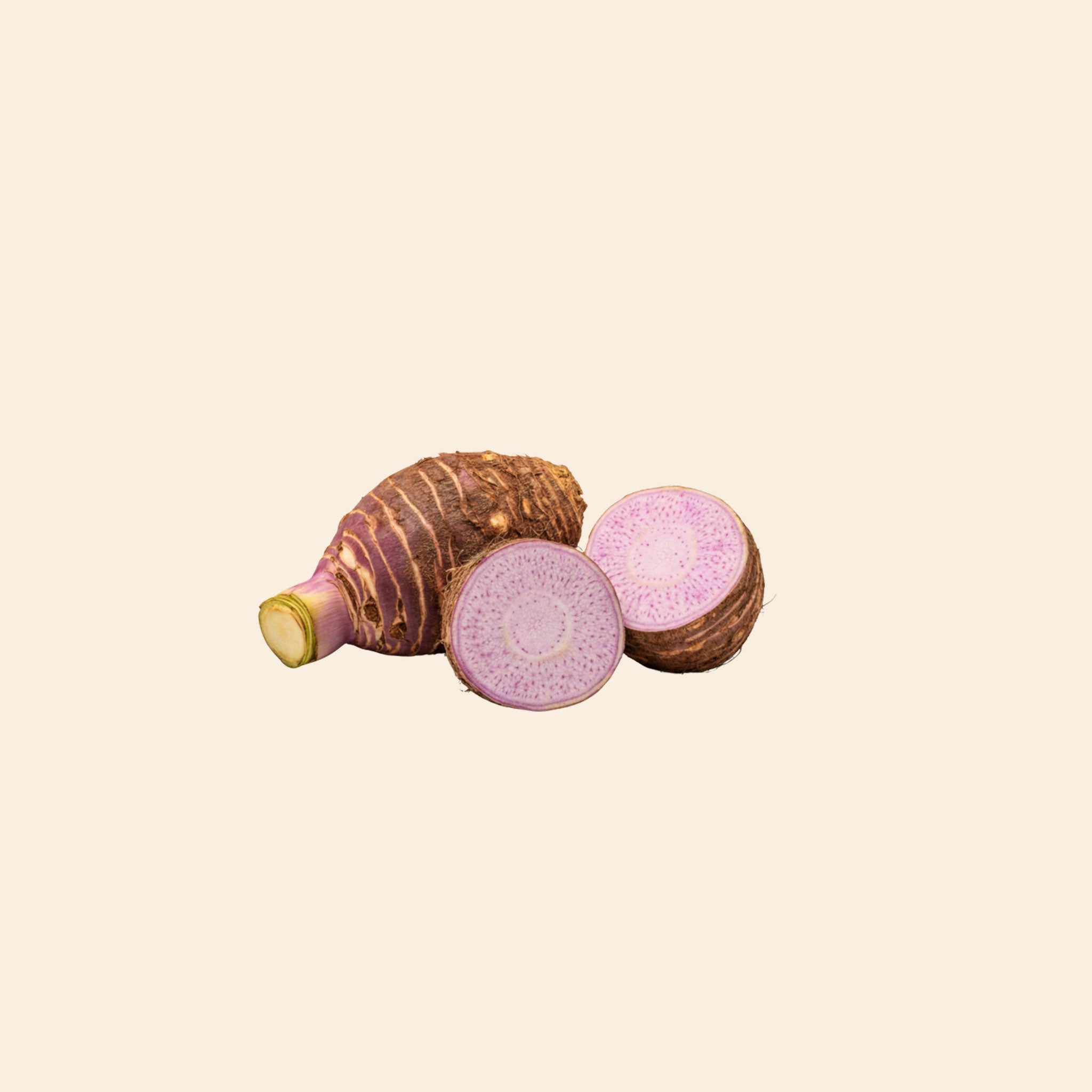 Yam Root